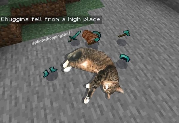 Реальный кот в МАЙНКРАФТЕ