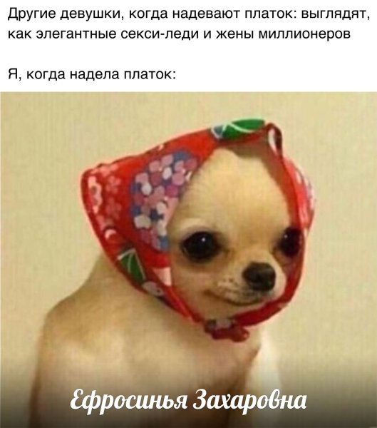 Собачка в платочке