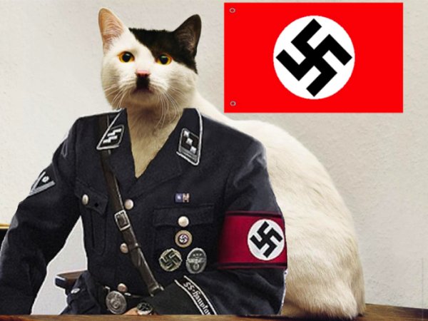 Генерал Гавс нацист