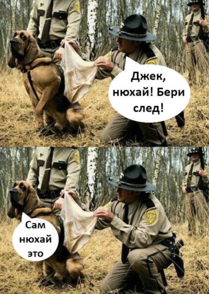 Шарик нюхай