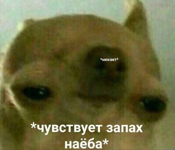 Чувствовать запах