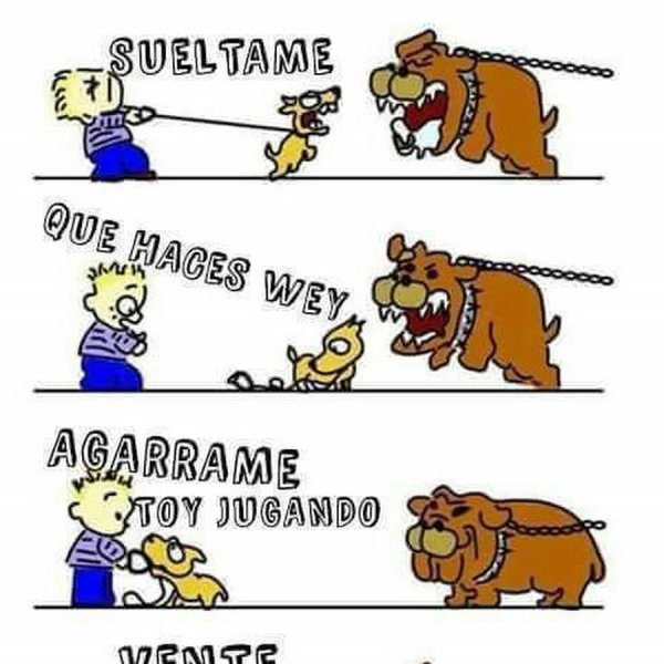 Собака на поводке