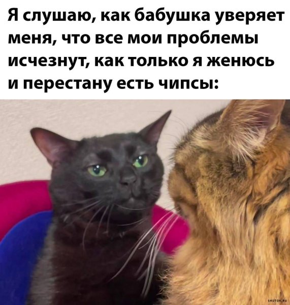 Юмор в картинках с надписями