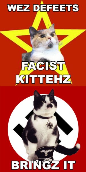 Котик коммунист