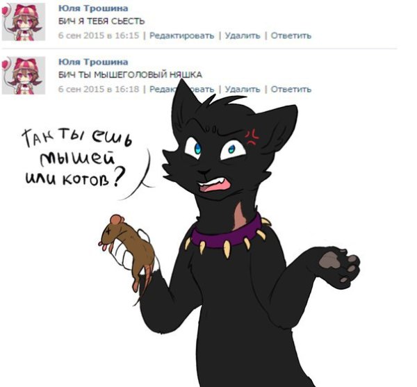 Коты Воители Бич Мем