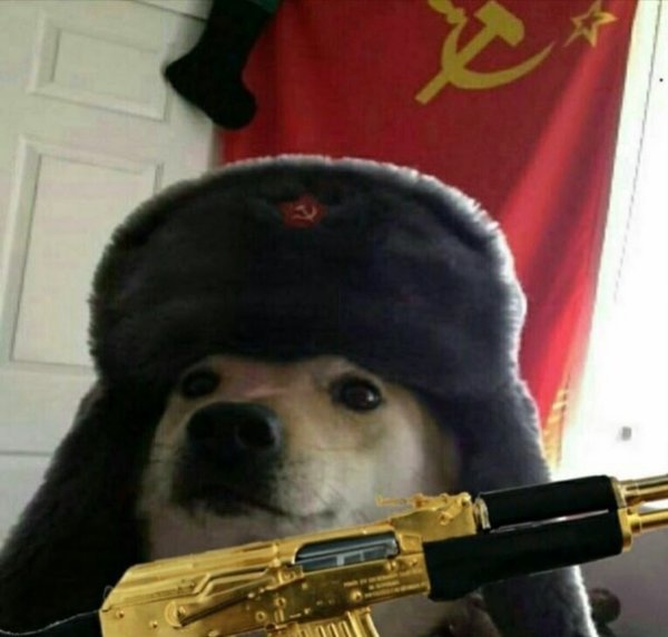 Собака в шапке ушанке