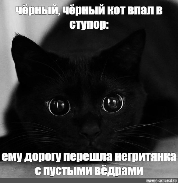 Черный кот слушает