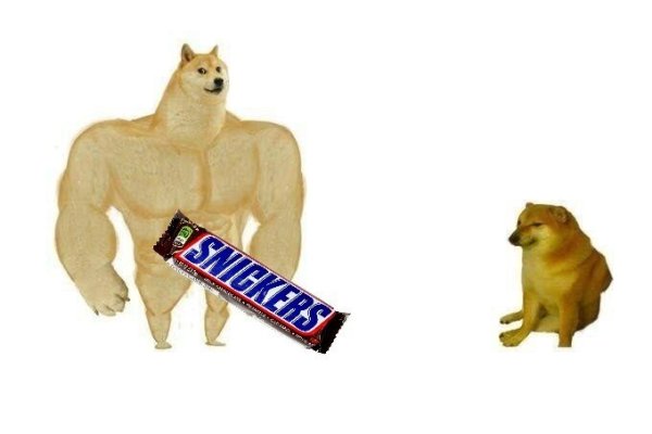 Собака с мускулами из мема