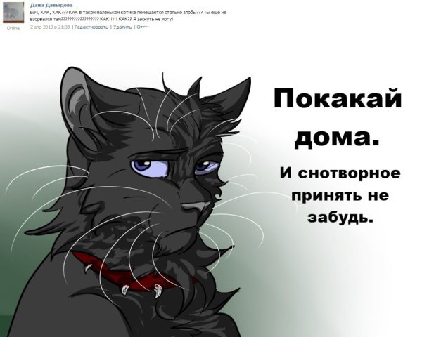 Коты Воители приколы
