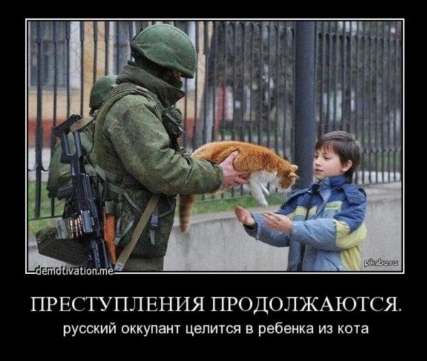 Вежливые люди с котом