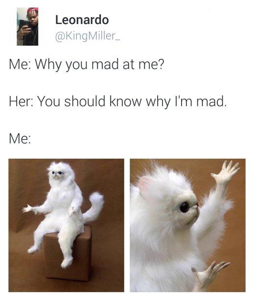 Мем чучело кота