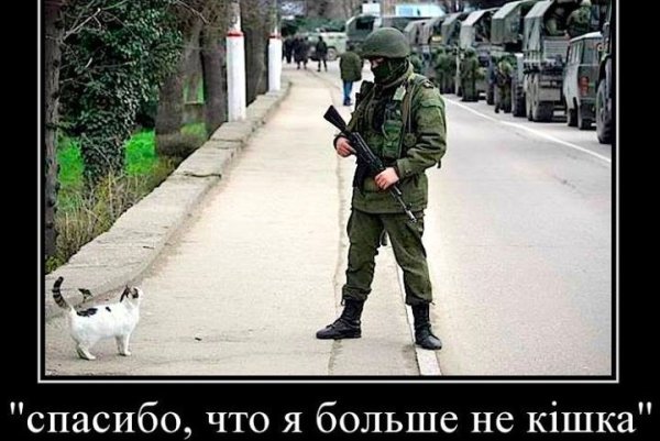 Вежливые люди в Крыму с котом