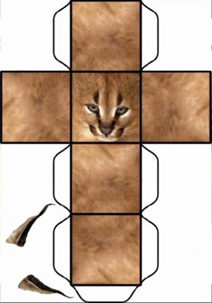 Бумажные шаблоны Шлепа