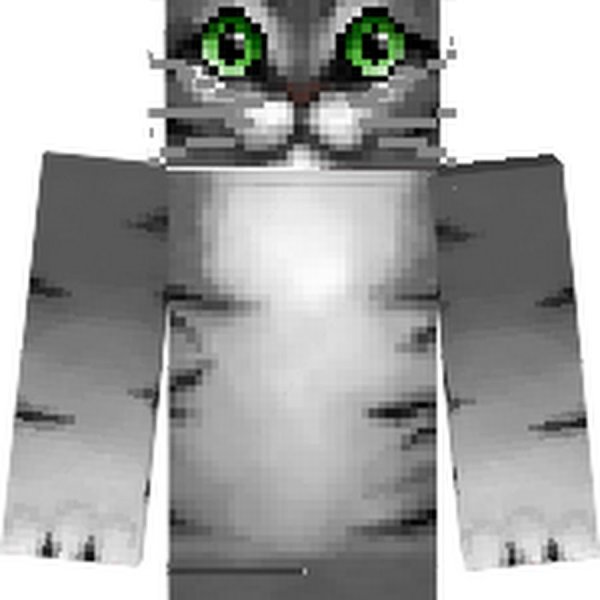 Скин котика