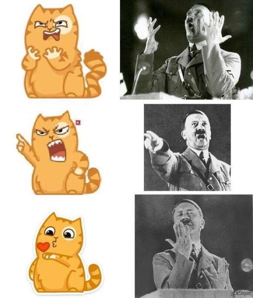 Гитлер и стикер кот