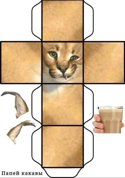 Развертка бумажный кот