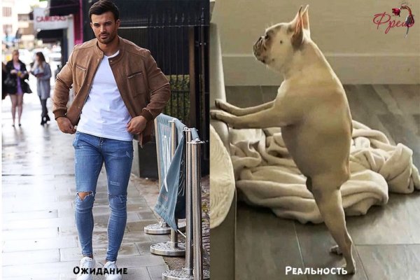 Мужчина в обтягивающих джинсах собака