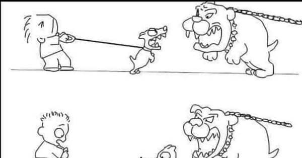 Маленькая собака на поводке лает на большую