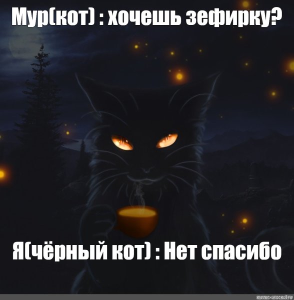 Кот черный кот Мем