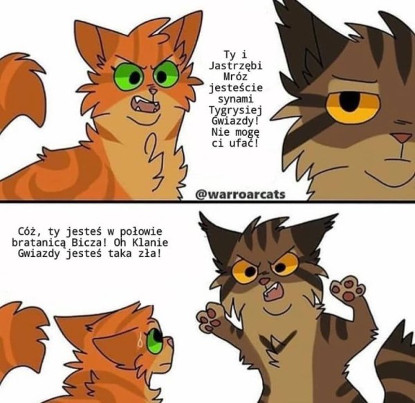 Мем коты Воители ежевика и Огнезвёзд