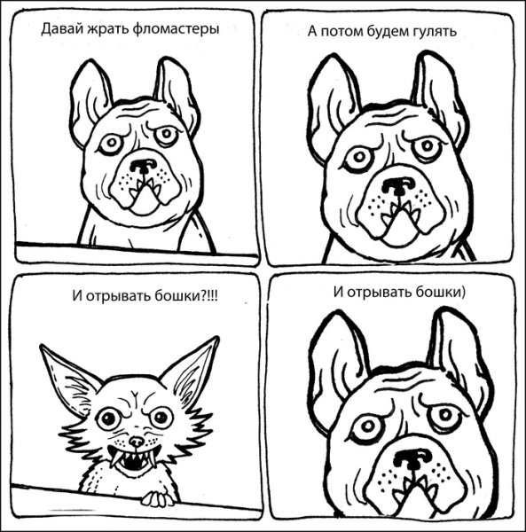 Мемы с бульдожками