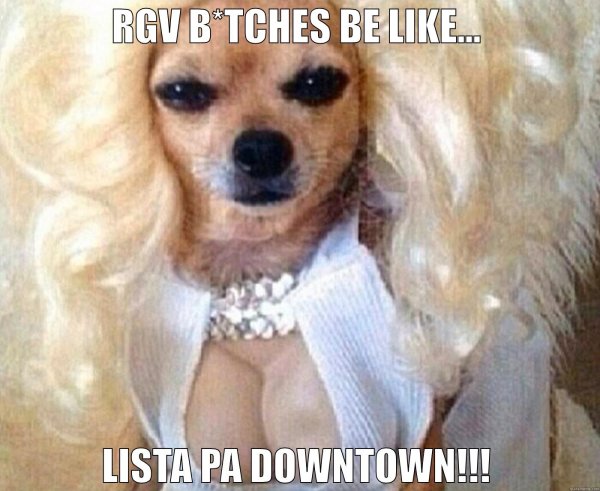 Смешные тити у собаки