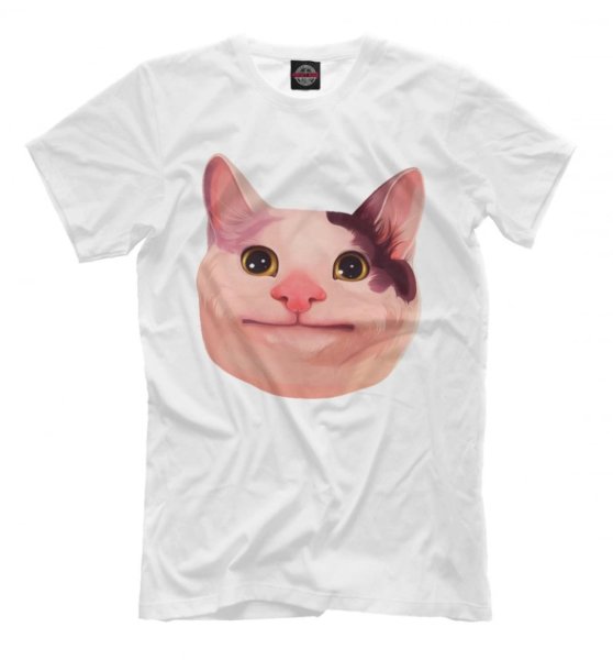 Футболка мужская с принтом "вежливый кот"