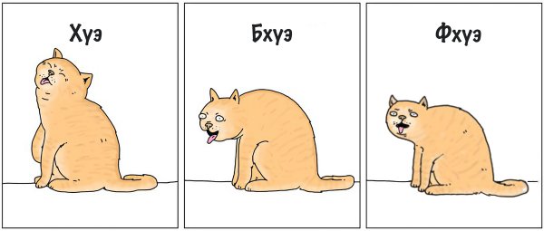 Котика тошнит