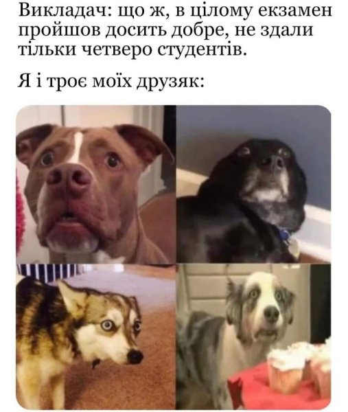 Псина мемы