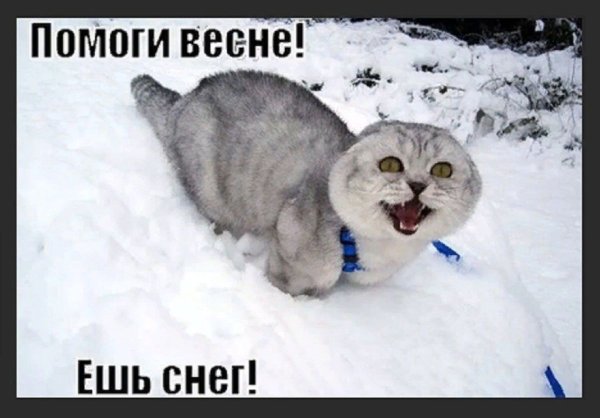 Приколы про снегопад в марте