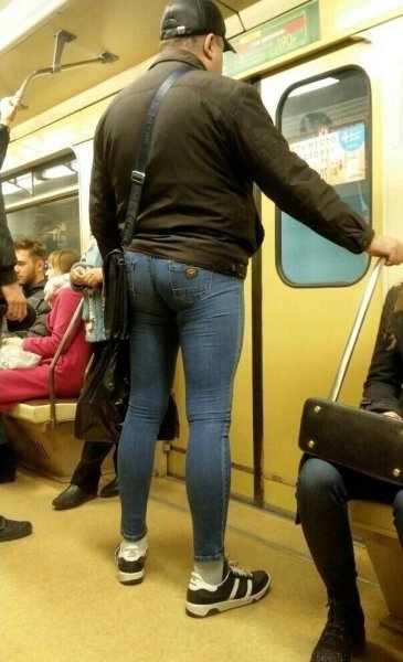 Собака в узких джинсах