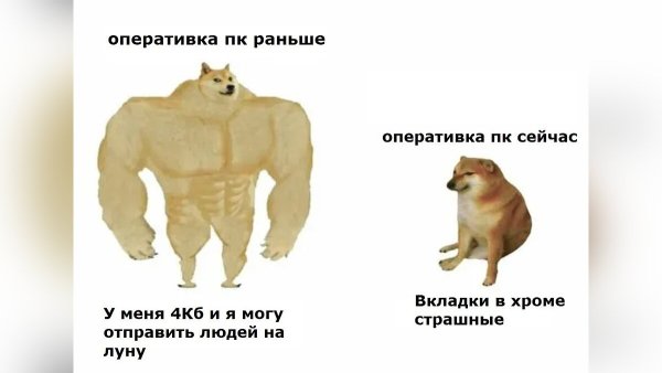 Собака Мем