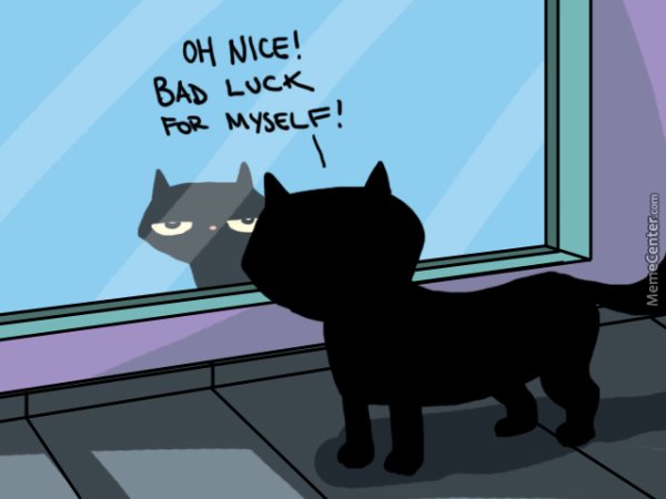 Черный кот Мем