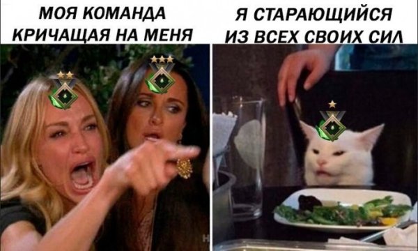 Мем кот с салатом и 2 девушки