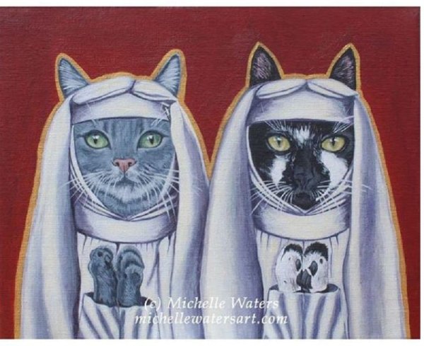 Кошки монашки