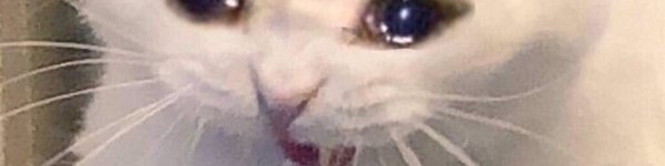 Плачущий кот лайк