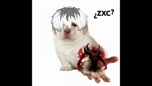 Кот гуль в хорошем качестве