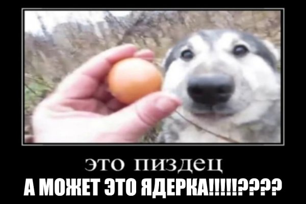 Мемы с собаками