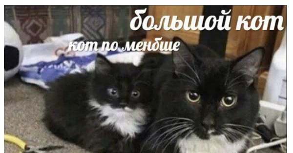 Кот побольше кот поменьше Мем