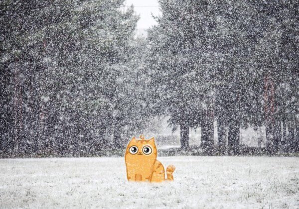 Кот персик в снегопад