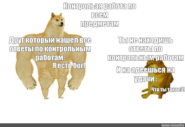 Доге и Чимс мемы