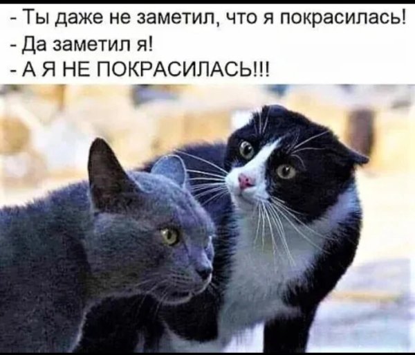Ты не заметил что я покрасилась а я и не покрасилась