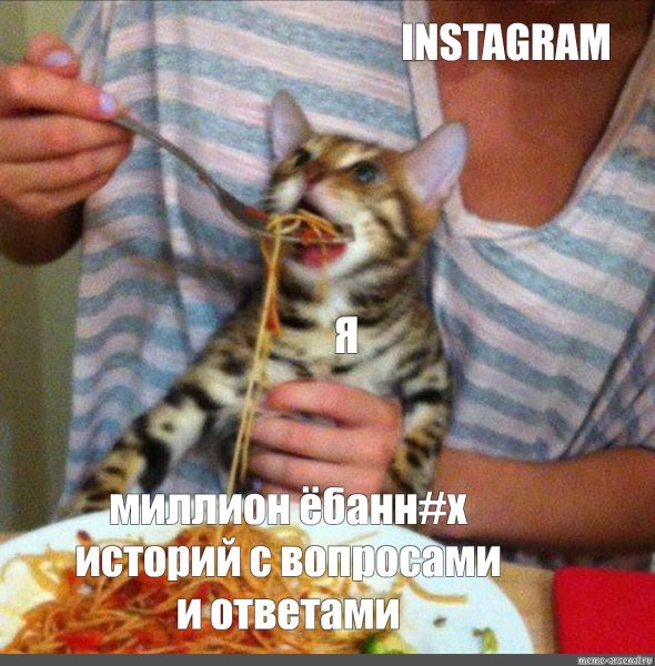 Кот макароны Мем