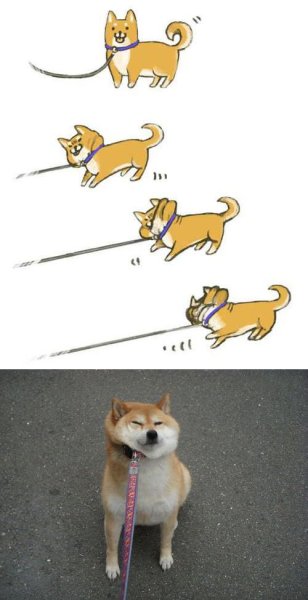 Сиба ину Мем