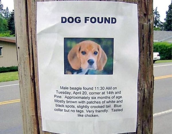 Приколы с собаками