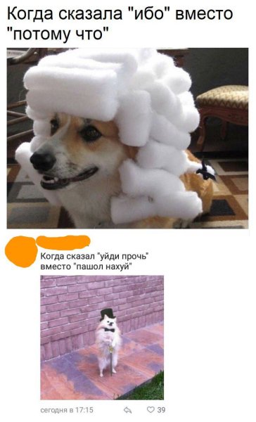 Когда сказал ибо