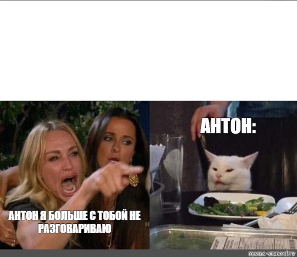 Кот и Юля Мем