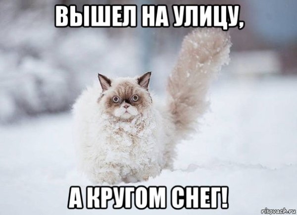 Снегопад Мем
