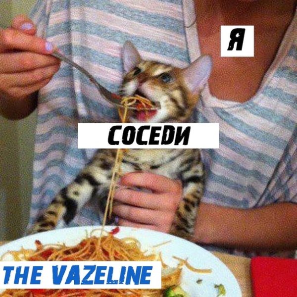 Мем кота кормят макаронами