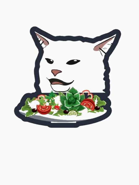 Мемный кот с салатом